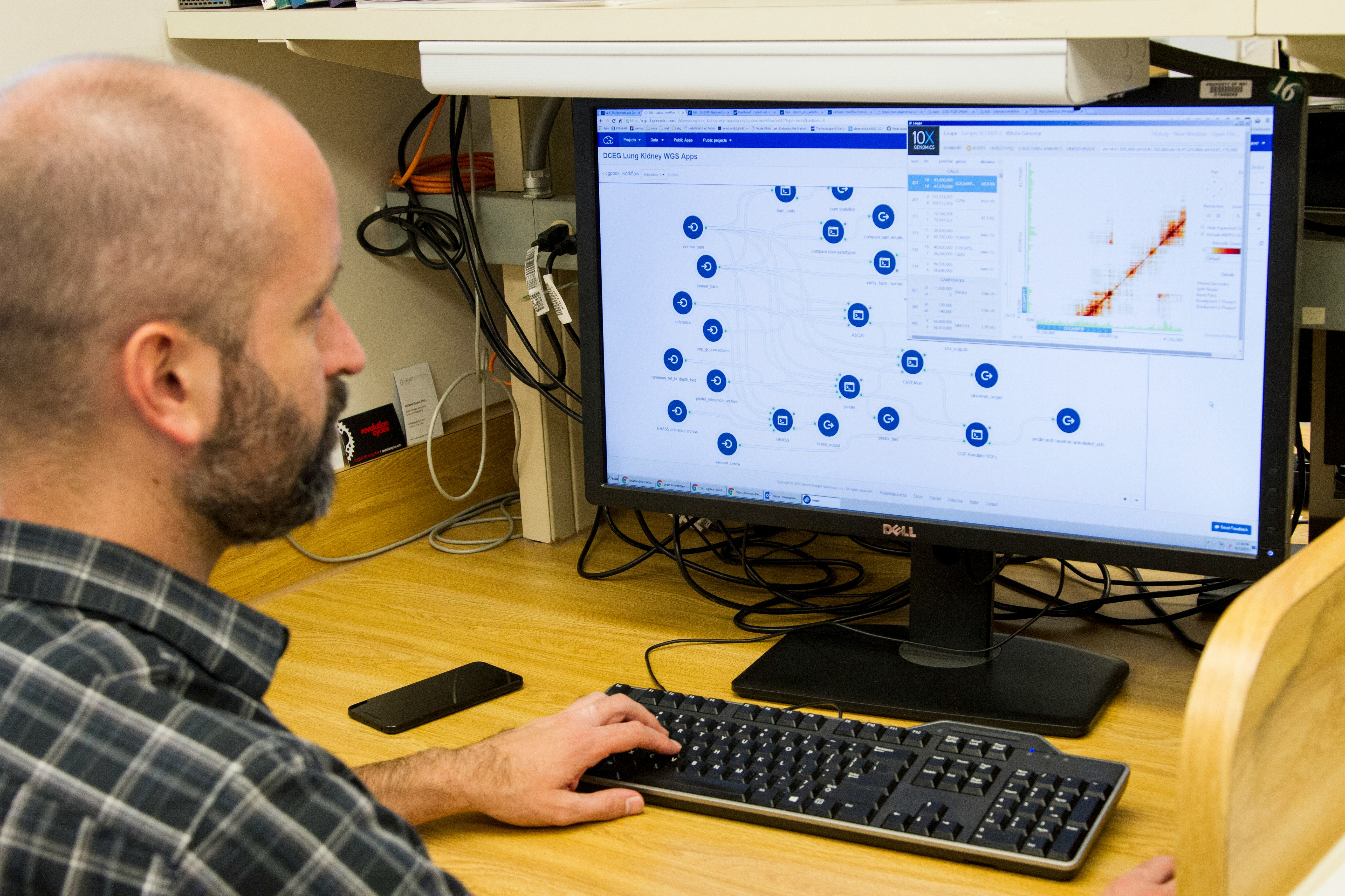 researcher looking at computer screen