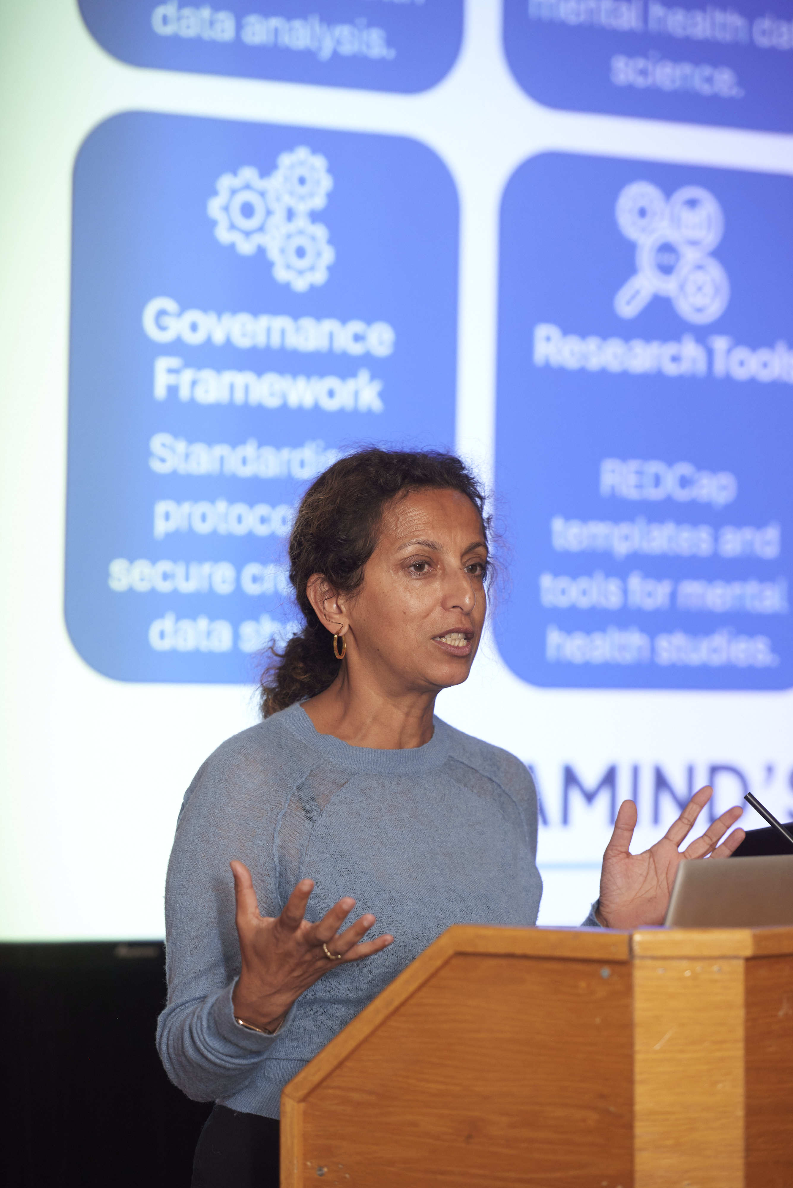 DATAMIND lead presenting