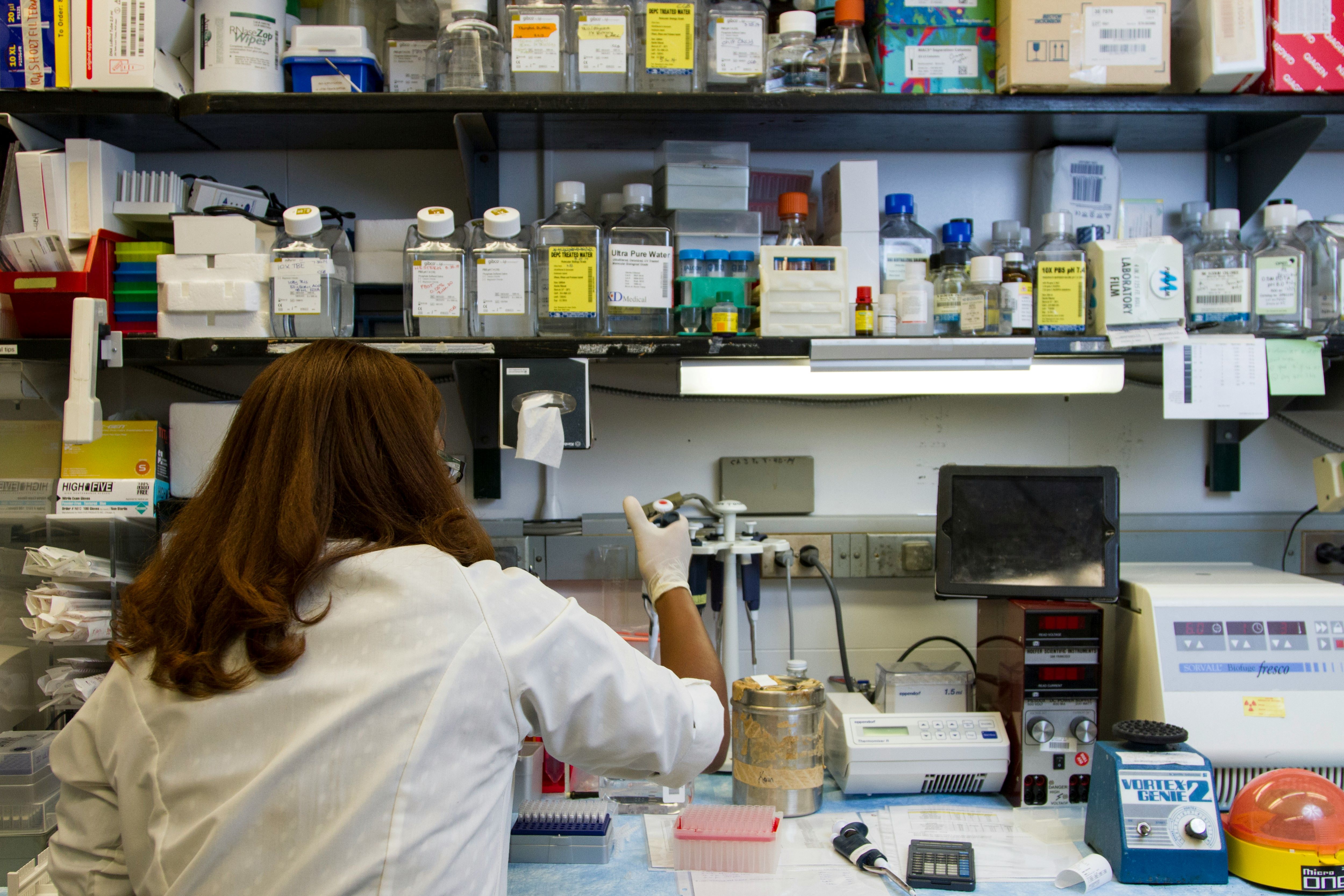researcher in the lab in front of lab bench